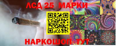 дмт Донской