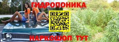 дмт Донской